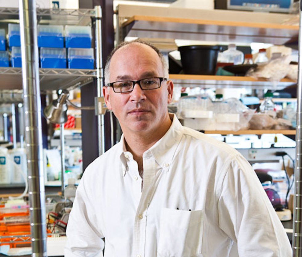 Photo of Professor Fishell from NYU