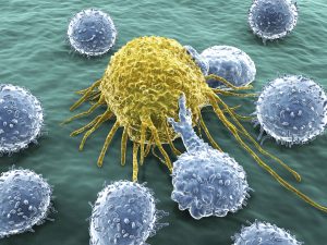 Microscopic T-lymphocytes attacking a migrating cancer cell.
