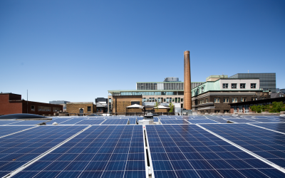 University research can inform sector-specific actions to reach ambitious net-zero goal