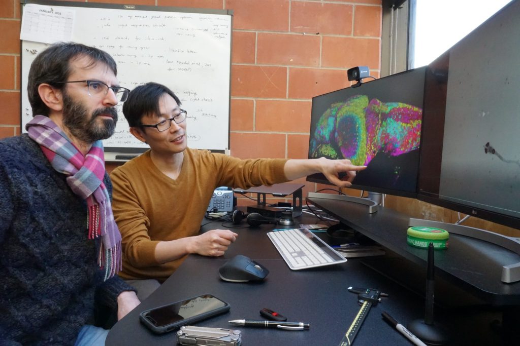 UTSC Professors Guillaume Filion and Minoru Koyama looking at a pair of computer screens