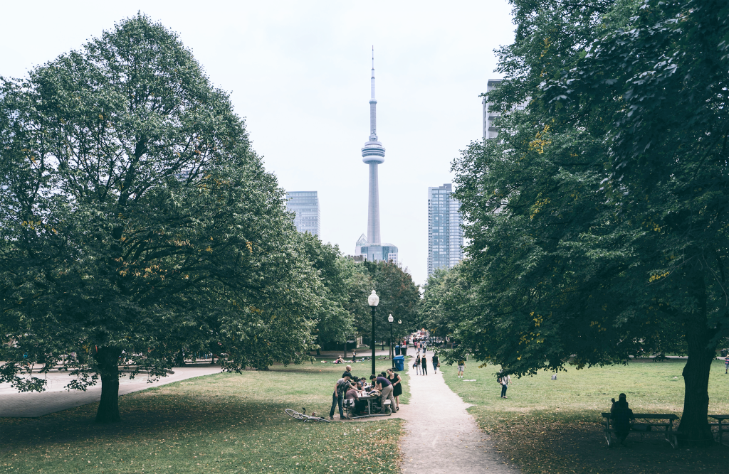 View of tress in Grange Park with the CN tower in the background