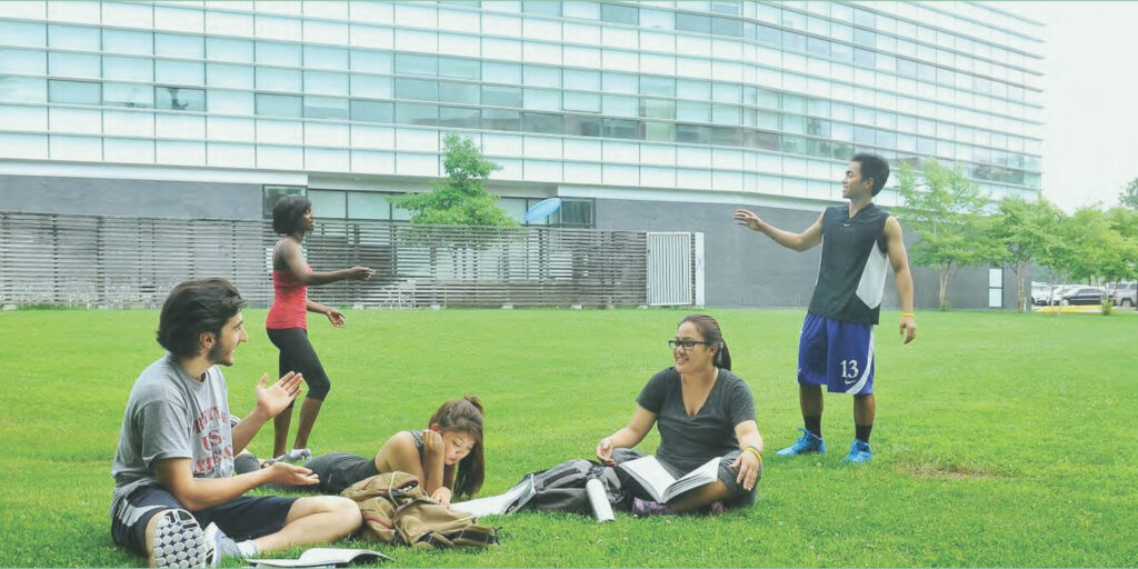 Students studying, talking and playing on the grass.