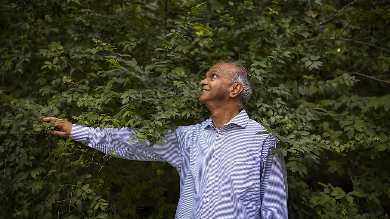 Image of Shashi Kant